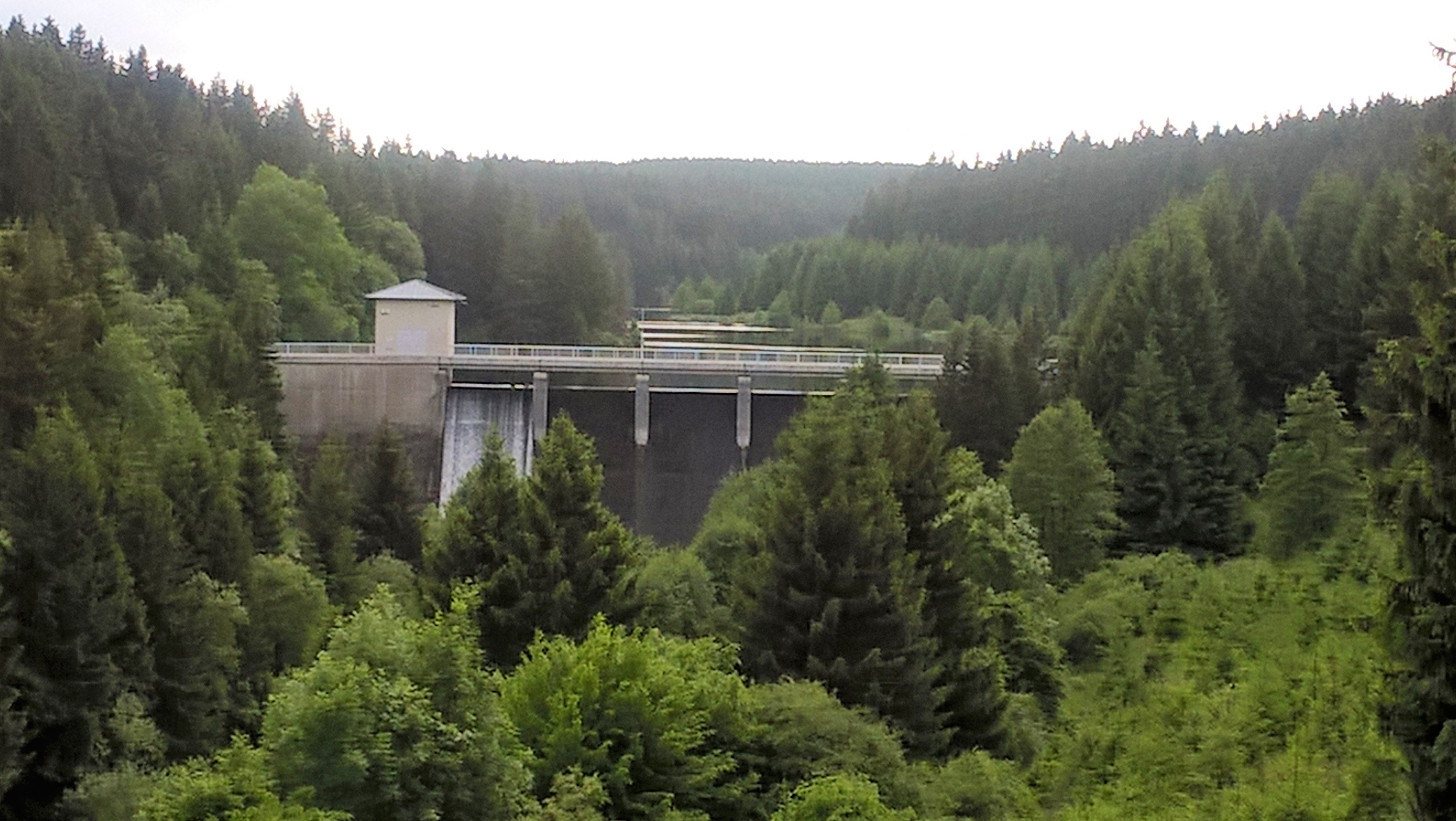 Staumauer im Wald mit umliegenden Bäumen