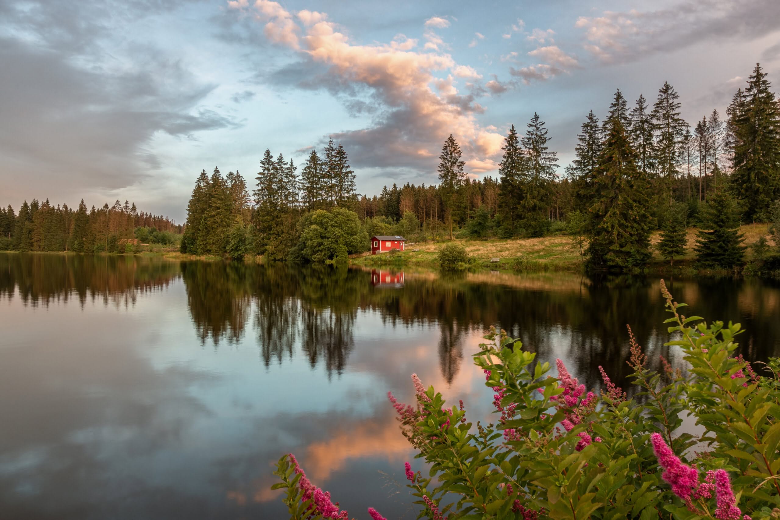 Rødt hus ved søen i skoven