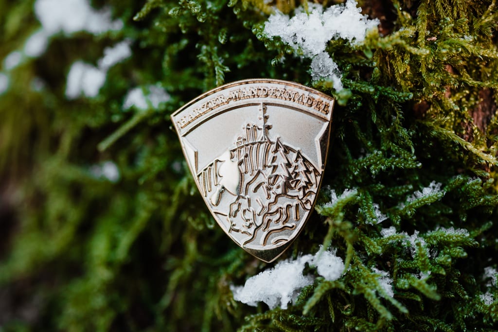 Insigne de l'aiguille de randonnée du Harz en or dans la mousse avec de la neige