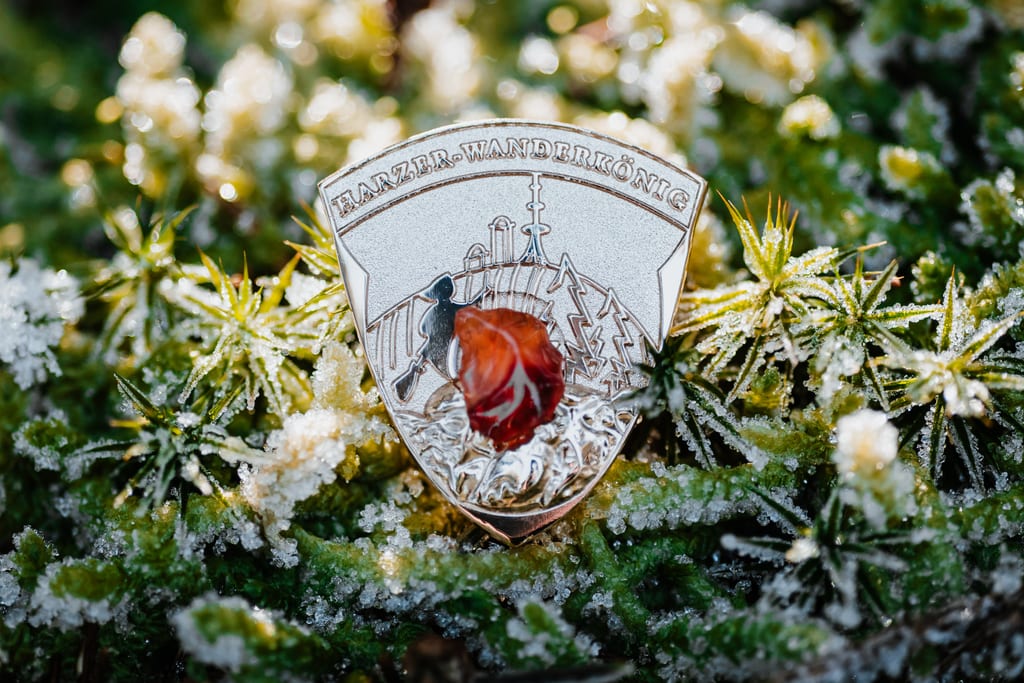 L'insigne du roi de la randonnée du Harz dans la mousse glacée