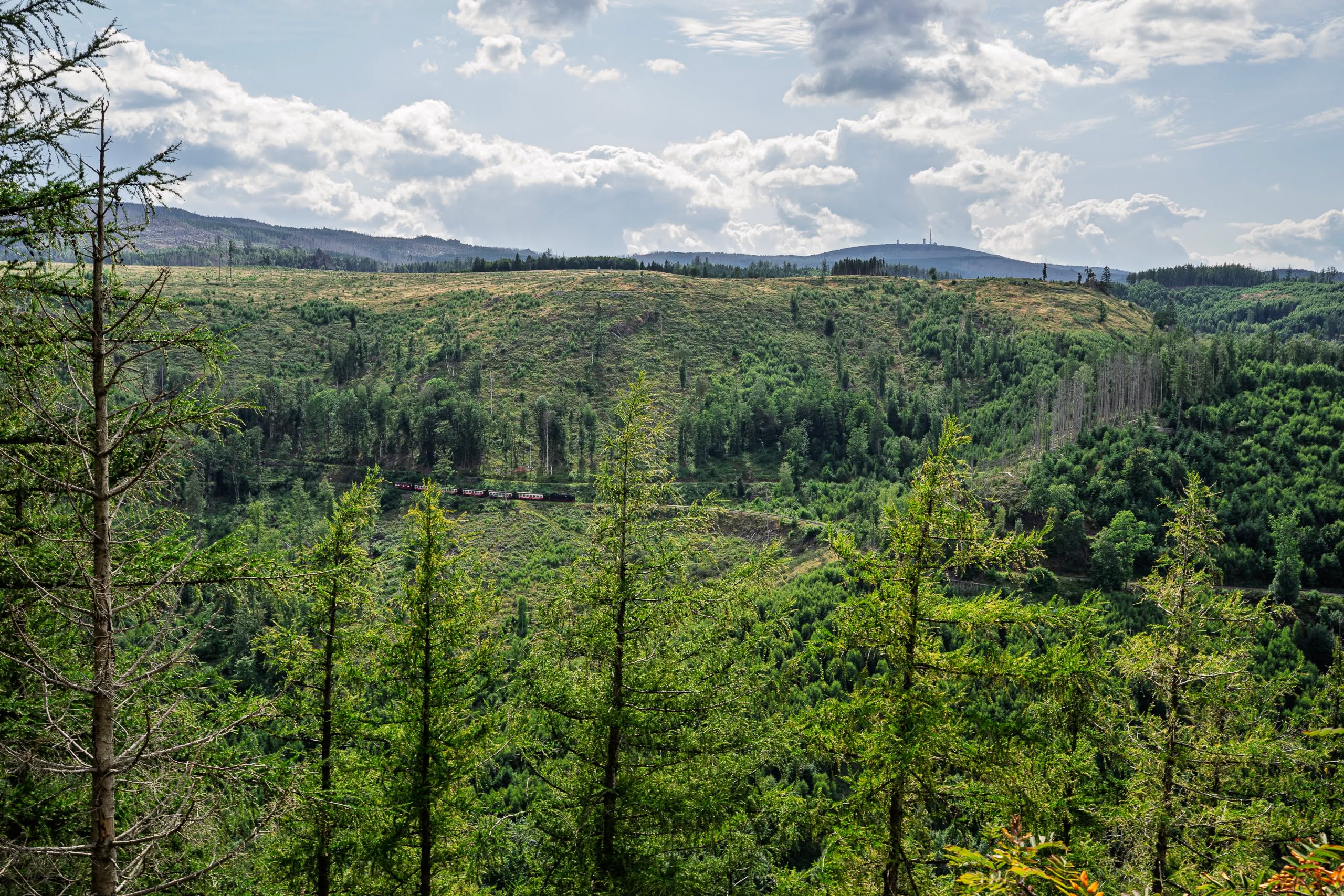 Paysage de montagne verdoyant avec des sapins et un ciel nuageux