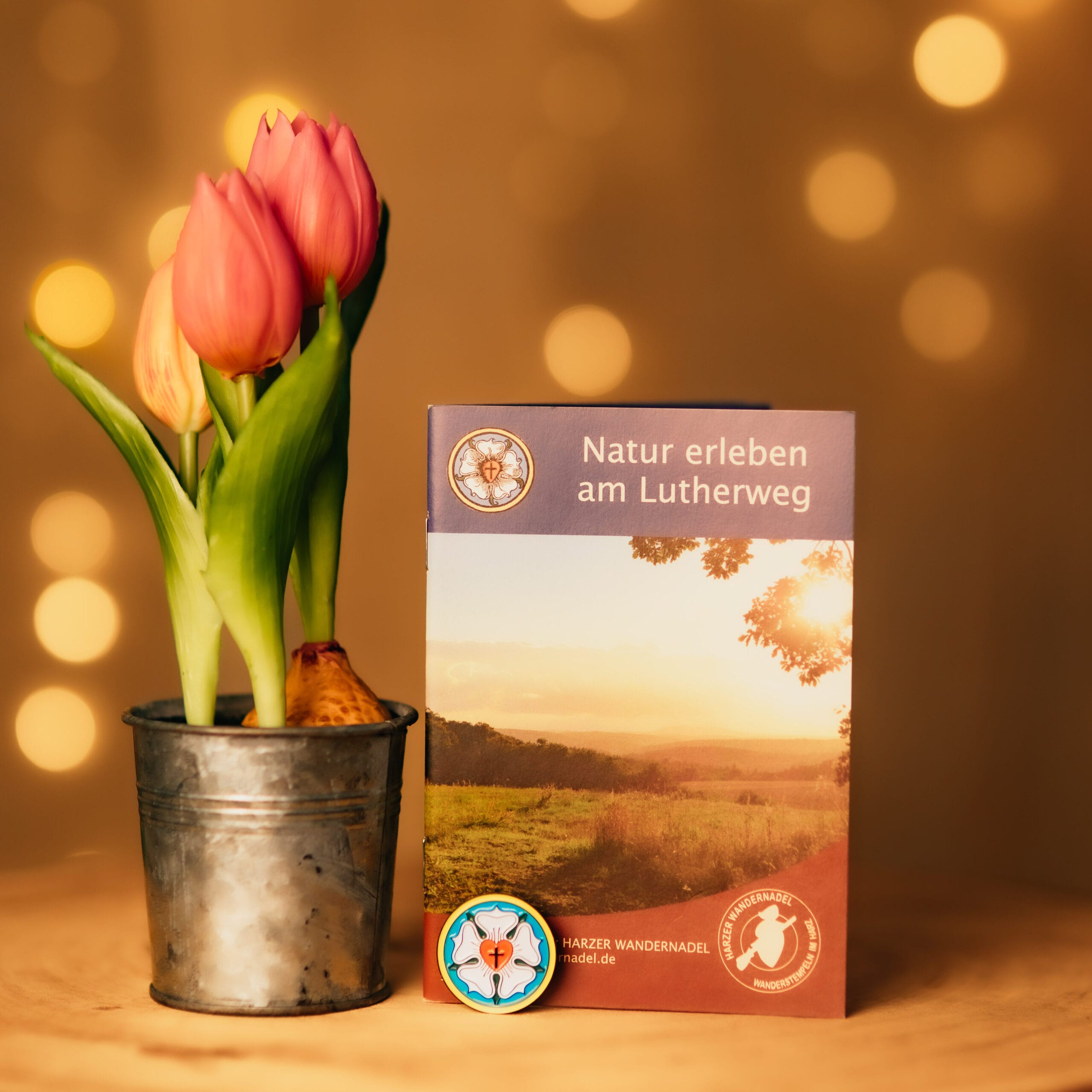 Des tulipes et des dépliants sur le chemin de Luther sur une table en bois