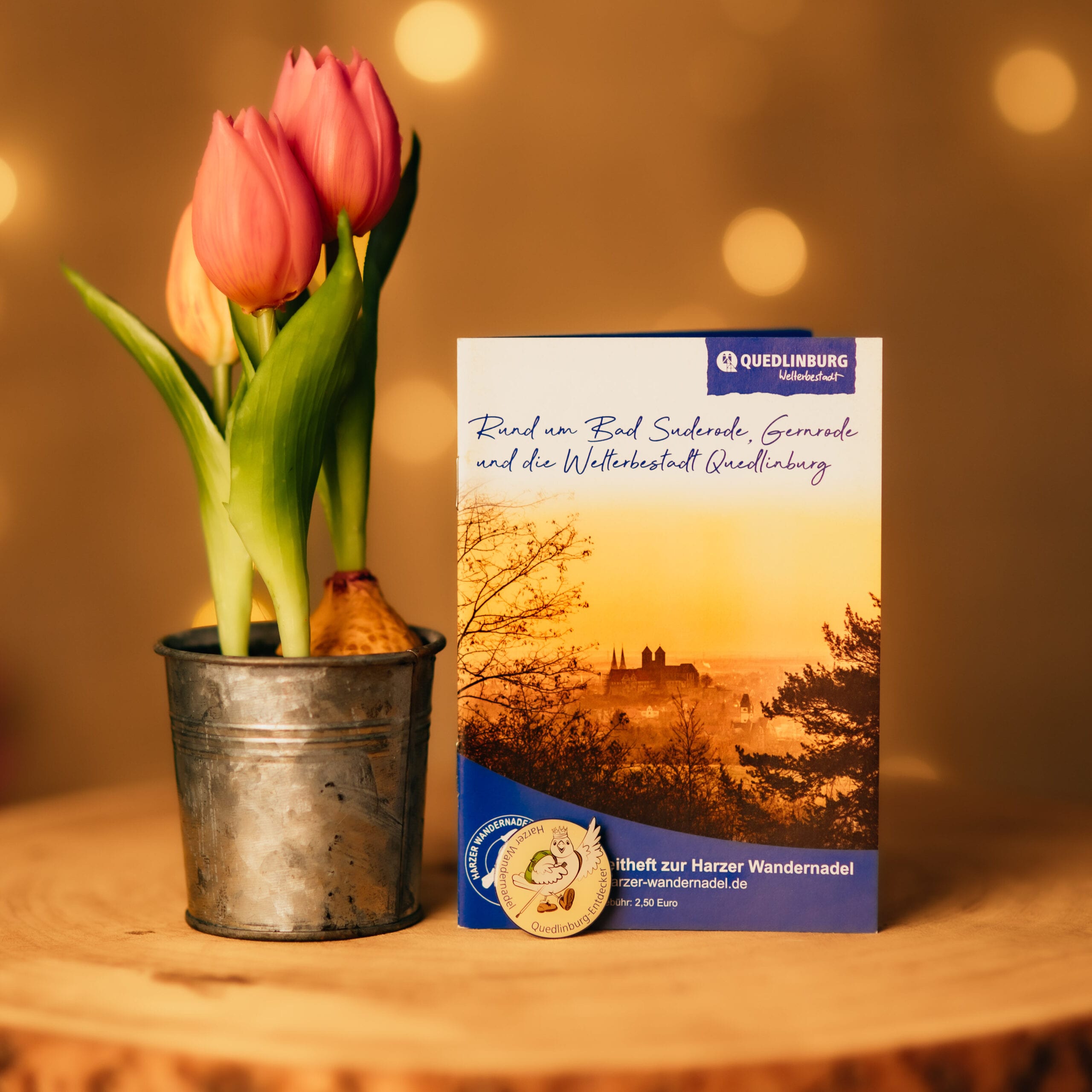 Des tulipes à côté du livret d'accompagnement Quedlinburg sur une table en bois