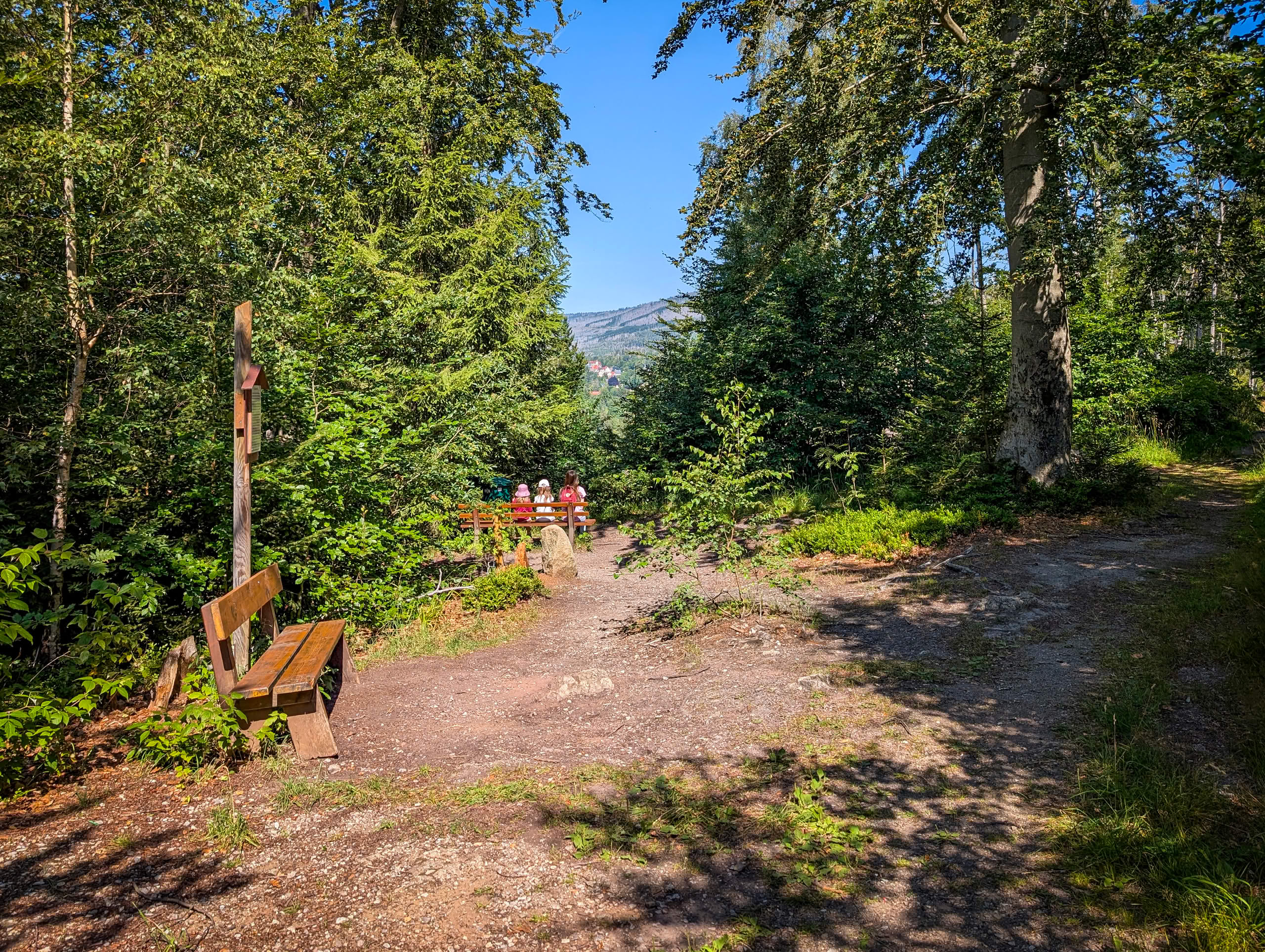 21 / Helenenruh bei Schierke und Elend